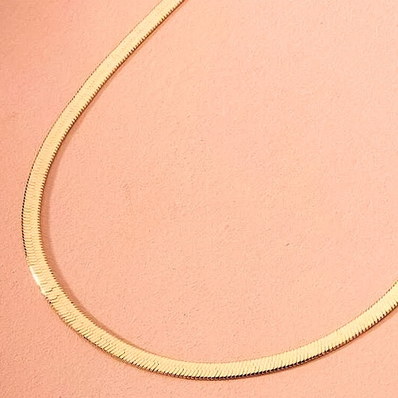 🔴𝟭𝟬/$𝟮𝟱🔴Herringbone Chain Necklace NEW - Picture 9 of 15